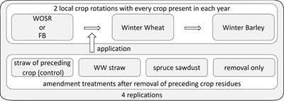 Model-based assessment of biomass incorporation to mitigate nitrogen losses from arable fields in Central Europe